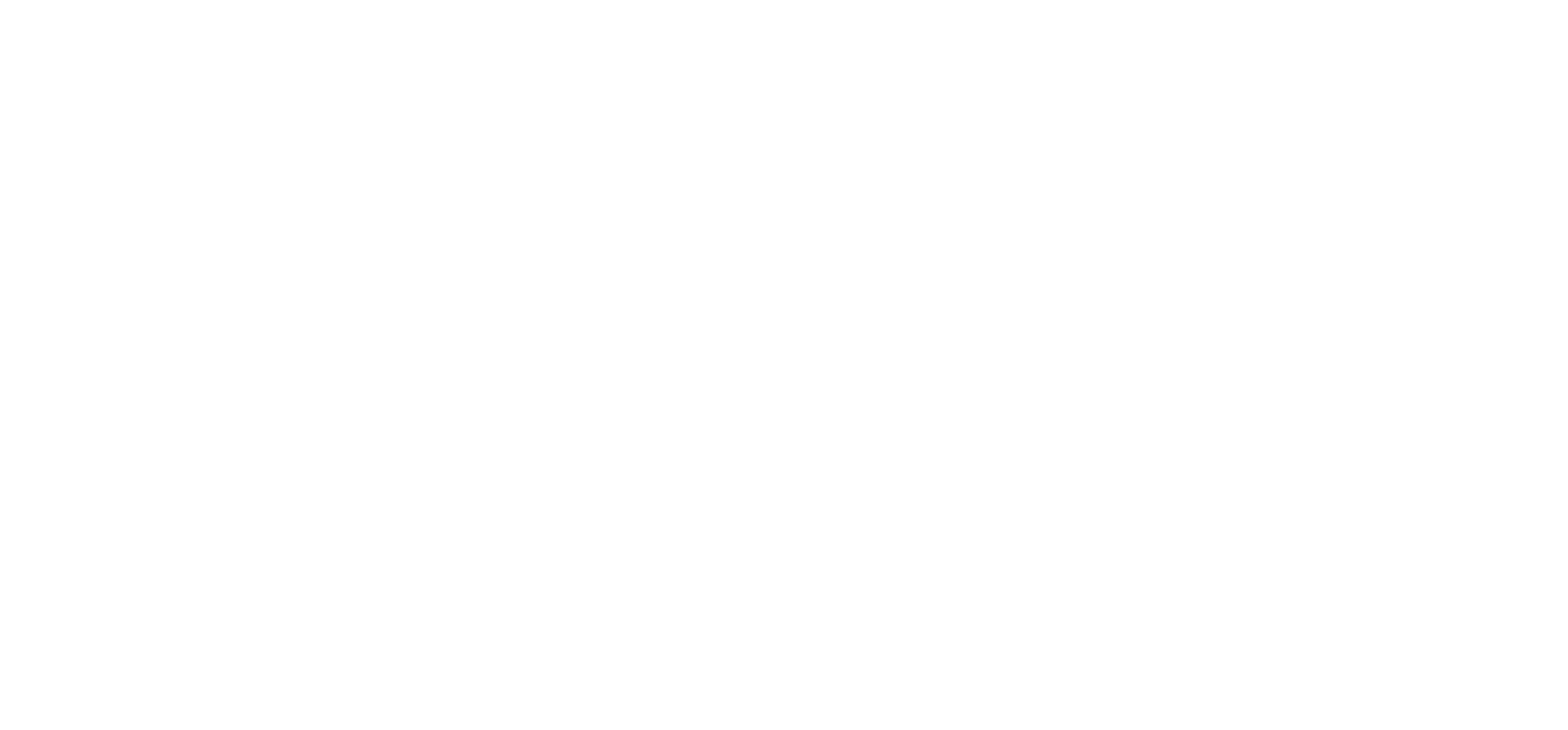 500x logo